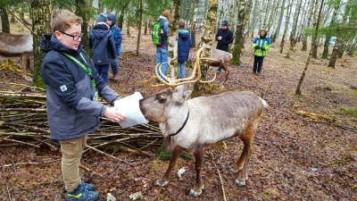 Familienexkursion ins samische Rentierlager „Björkträsk“ im Tierpark Sababurg